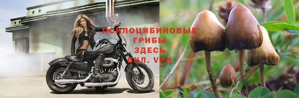 MDMA Premium VHQ Нефтегорск