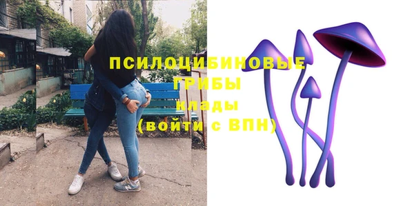 шишки Белая Холуница