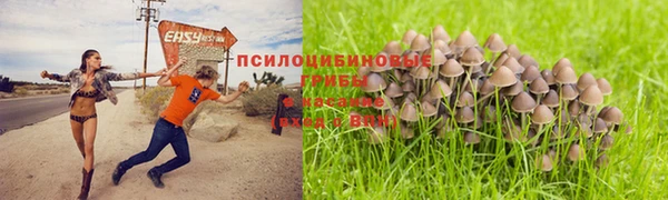 дживик Навашино