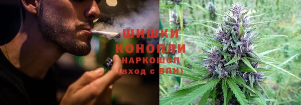 гашик Надым