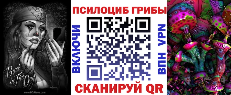 Галлюциногенные грибы Cubensis  сколько стоит  Нижняя Салда 
